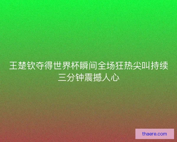 王楚钦夺得世界杯瞬间全场狂热尖叫持续三分钟震撼人心
